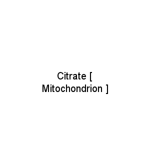 Citrate [ Mitochondrion ]